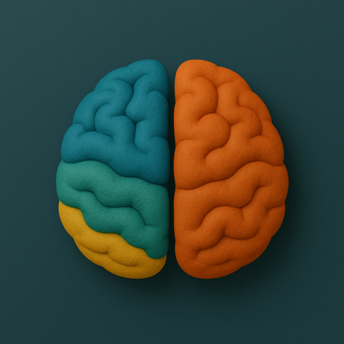 Cérebro Superdotado Neurociência